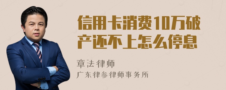 信用卡消费10万破产还不上怎么停息