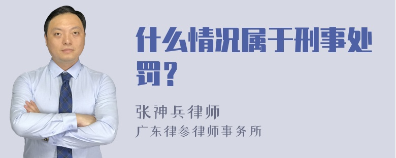 什么情况属于刑事处罚？