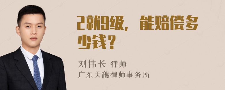 2就9级，能赔偿多少钱？