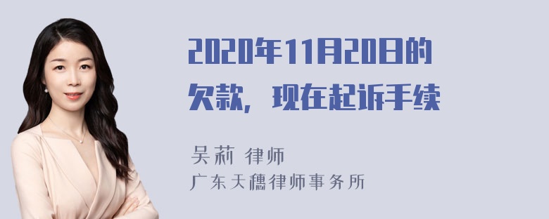 2020年11月20日的欠款，现在起诉手续