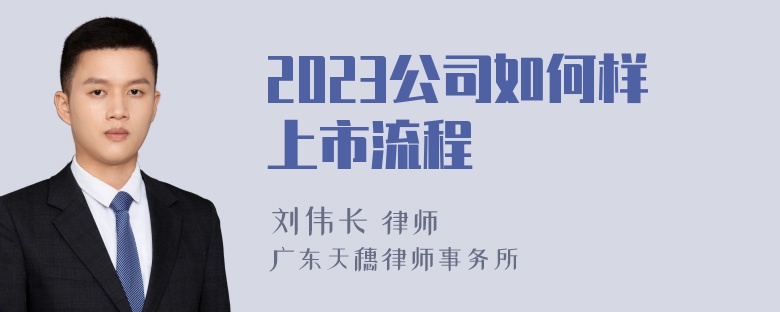 2023公司如何样上市流程