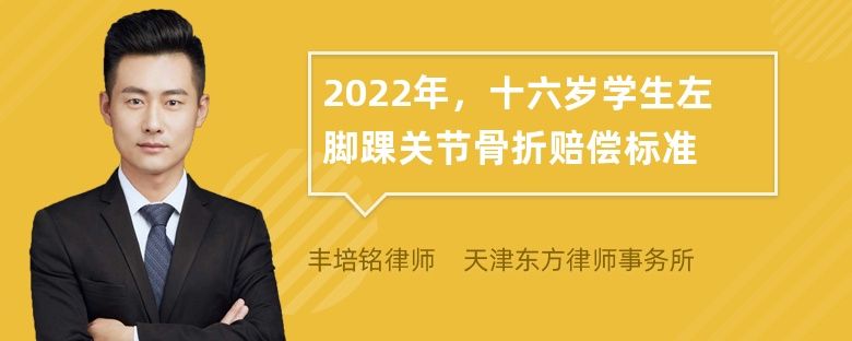 2022年，十六岁学生左脚踝关节骨折赔偿标准