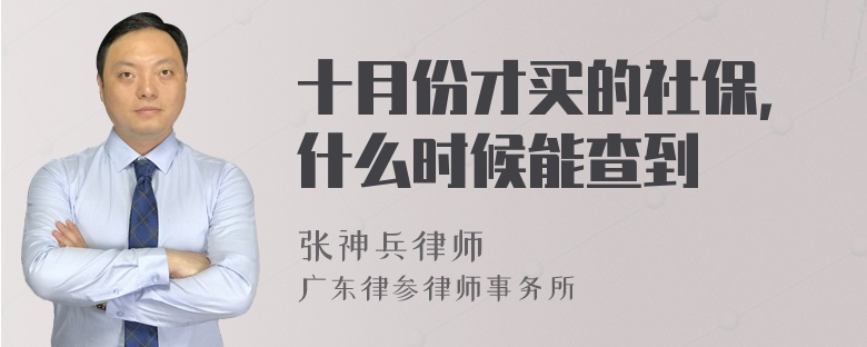 十月份才买的社保，什么时候能查到