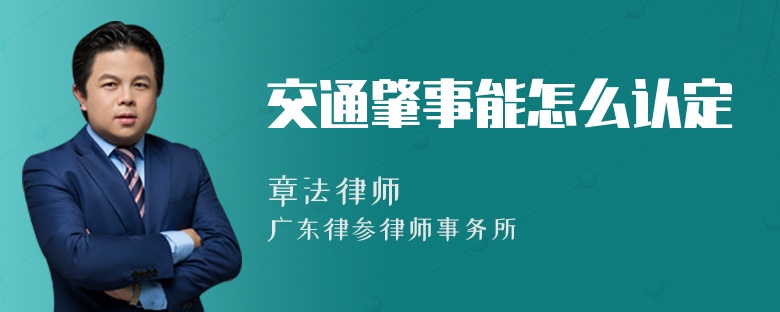 交通肇事能怎么认定