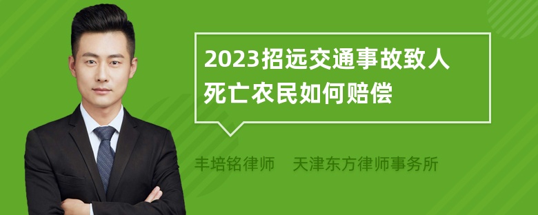 2023招远交通事故致人死亡农民如何赔偿