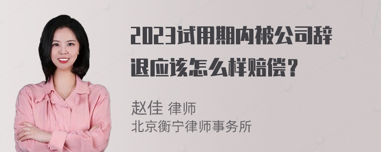 2023试用期内被公司辞退应该怎么样赔偿？