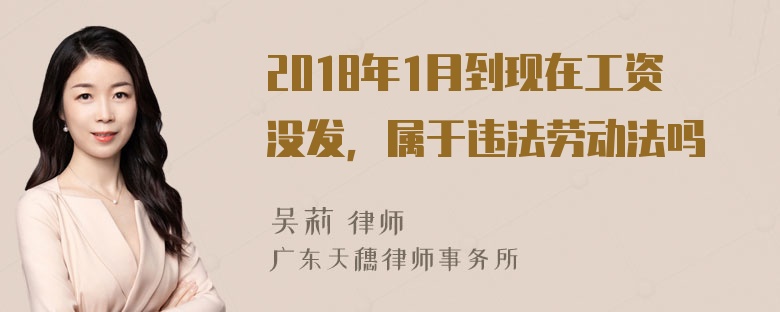 2018年1月到现在工资没发，属于违法劳动法吗