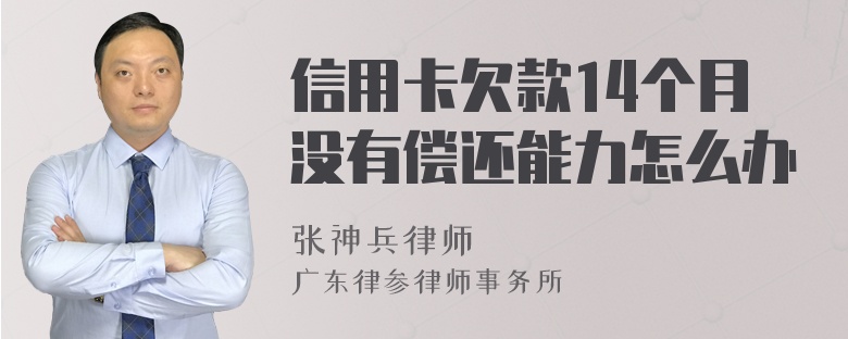 信用卡欠款14个月没有偿还能力怎么办