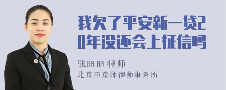 我欠了平安新一贷20年没还会上征信吗