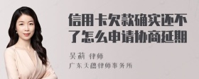 信用卡欠款确实还不了怎么申请协商延期