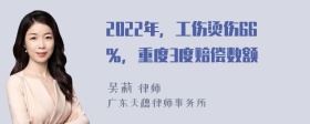 2022年，工伤烫伤66％，重度3度赔偿数额