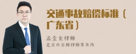 交通事故赔偿标准（广东省）