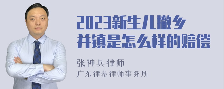 2023新生儿撤乡并镇是怎么样的赔偿