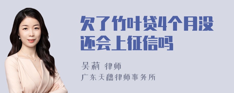 欠了竹叶贷4个月没还会上征信吗