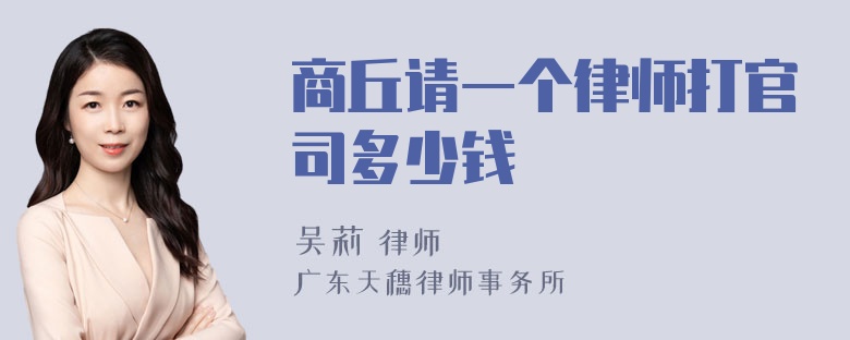 商丘请一个律师打官司多少钱