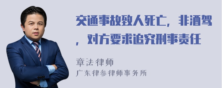 交通事故致人死亡，非酒驾，对方要求追究刑事责任