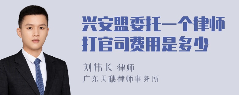 兴安盟委托一个律师打官司费用是多少