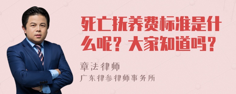 死亡抚养费标准是什么呢？大家知道吗？