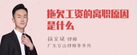 拖欠工资的离职原因是什么