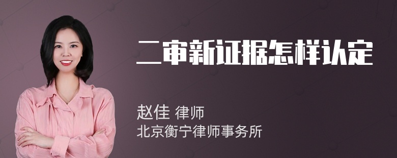 二审新证据怎样认定