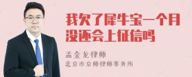 我欠了犀牛宝一个月没还会上征信吗