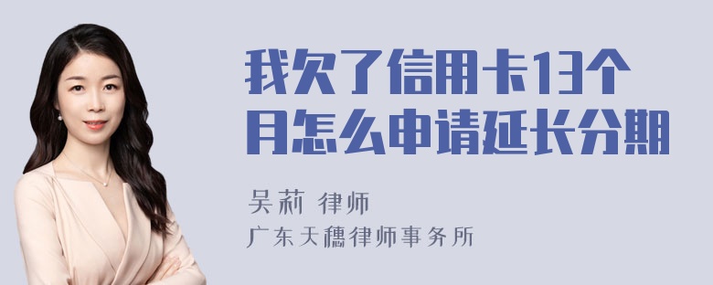 我欠了信用卡13个月怎么申请延长分期