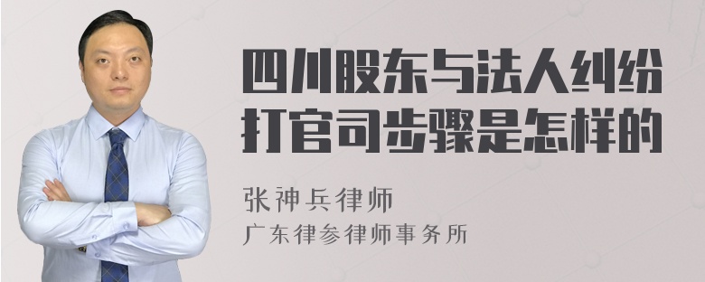 四川股东与法人纠纷打官司步骤是怎样的