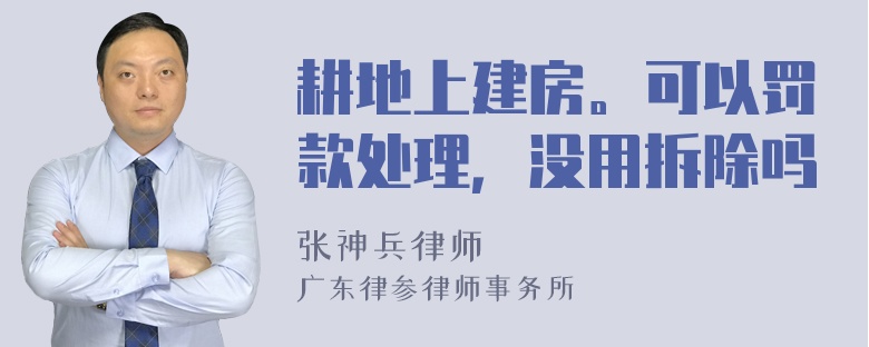 耕地上建房。可以罚款处理，没用拆除吗