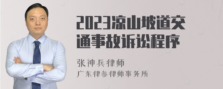 2023凉山坡道交通事故诉讼程序