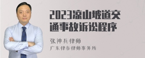 2023凉山坡道交通事故诉讼程序