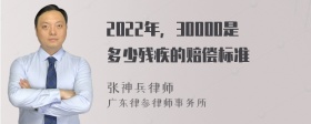 2022年，30000是多少残疾的赔偿标准