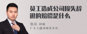 员工造成公司损失辞退的赔偿是什么