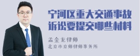 宁河区重大交通事故诉讼要提交哪些材料