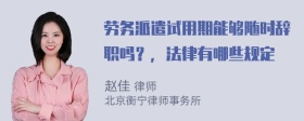 劳务派遣试用期能够随时辞职吗？，法律有哪些规定