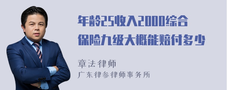 年龄25收入2000综合保险九级大概能赔付多少