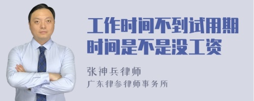 工作时间不到试用期时间是不是没工资