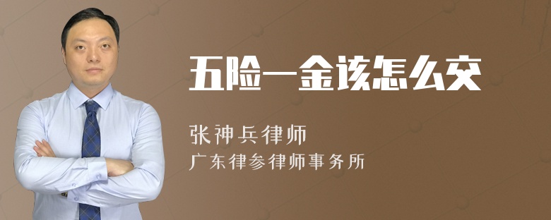 五险一金该怎么交
