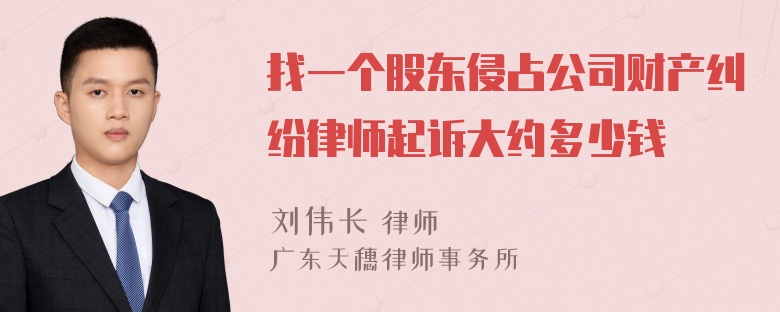 找一个股东侵占公司财产纠纷律师起诉大约多少钱