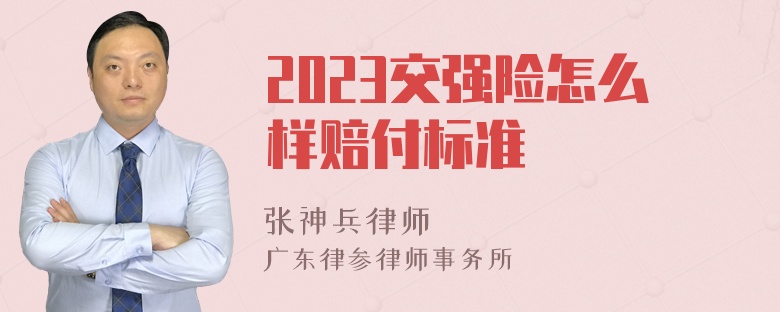 2023交强险怎么样赔付标准