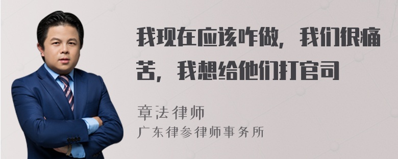 我现在应该咋做，我们很痛苦，我想给他们打官司