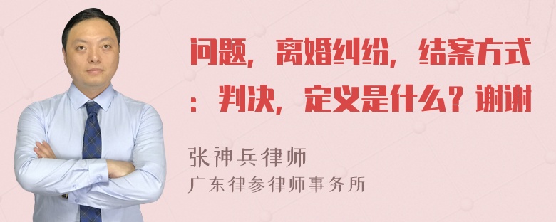 问题，离婚纠纷，结案方式：判决，定义是什么？谢谢