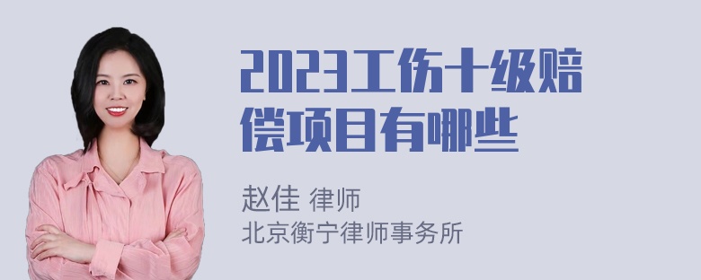 2023工伤十级赔偿项目有哪些