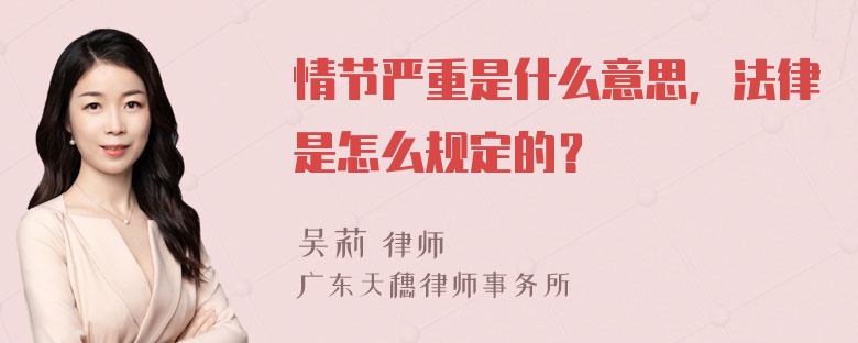 情节严重是什么意思，法律是怎么规定的？