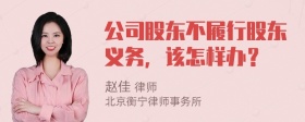 公司股东不履行股东义务，该怎样办？