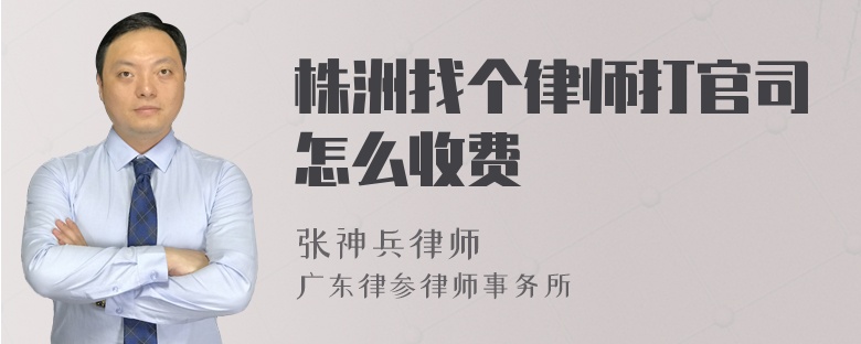 株洲找个律师打官司怎么收费