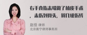 右手食指末端做了植皮手术，未伤到骨头，算几级伤残