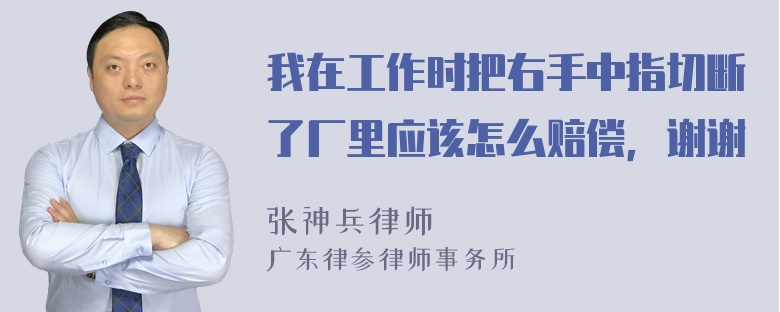 我在工作时把右手中指切断了厂里应该怎么赔偿，谢谢