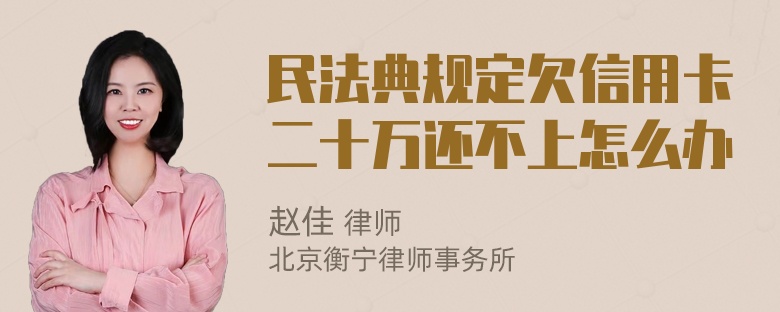 民法典规定欠信用卡二十万还不上怎么办