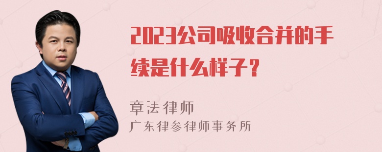 2023公司吸收合并的手续是什么样子？