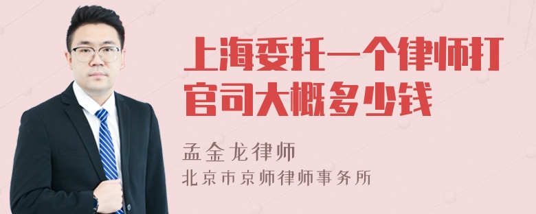 上海委托一个律师打官司大概多少钱